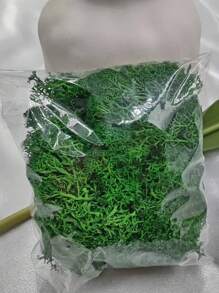 40g Mô phỏng Rêu nhân tạo Xanh lá cây cỏ rêu vĩnh cửu Cây giả dùng để trang trí tường nhà Vườn Vật liệu cảnh quan vi mô Quà tặng, Ngày lễ tình nhân, Quà tặng - màu xanh lá - Xem 1