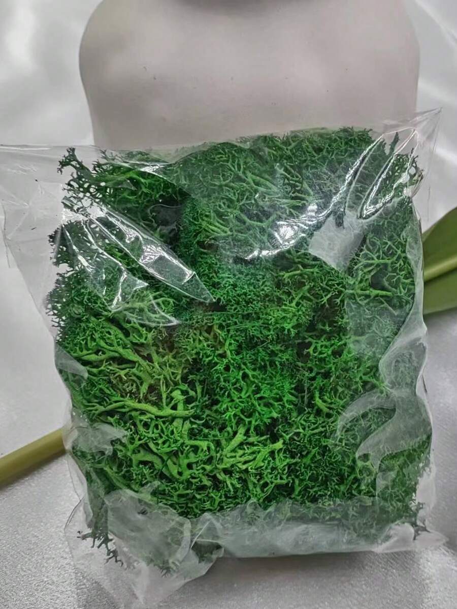 40g Mô phỏng Rêu nhân tạo Xanh lá cây cỏ rêu vĩnh cửu Cây giả dùng để trang trí tường nhà Vườn Vật liệu cảnh quan vi mô Quà tặng, Ngày lễ tình nhân, Quà tặng - màu xanh lá - Xem 1