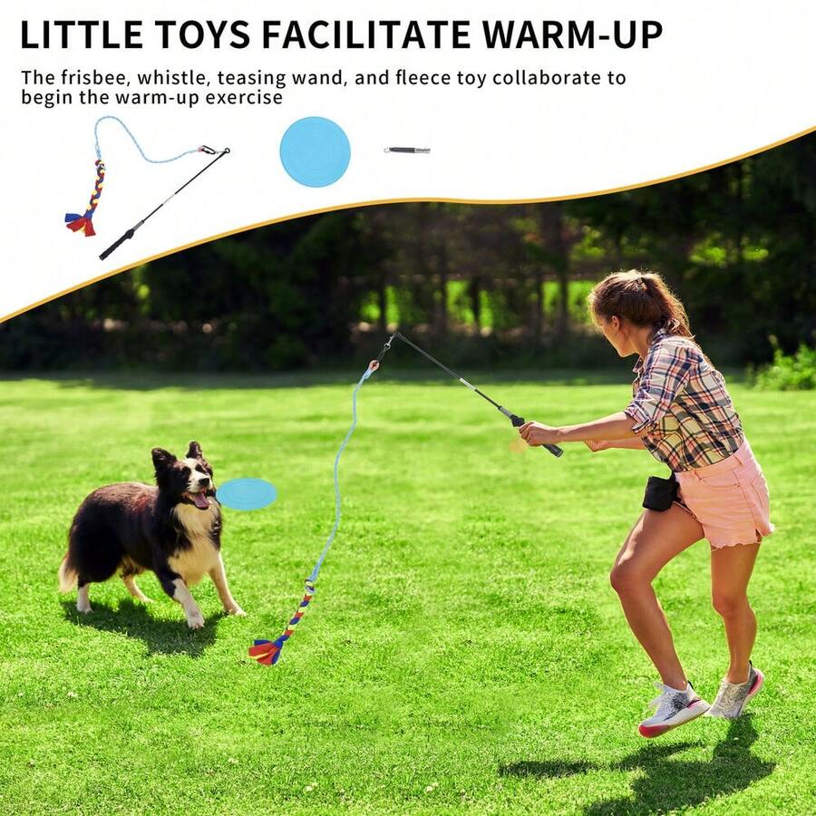 Dog Agility Training Equipment Set Pet Outdoor Obstacle Courses Starter