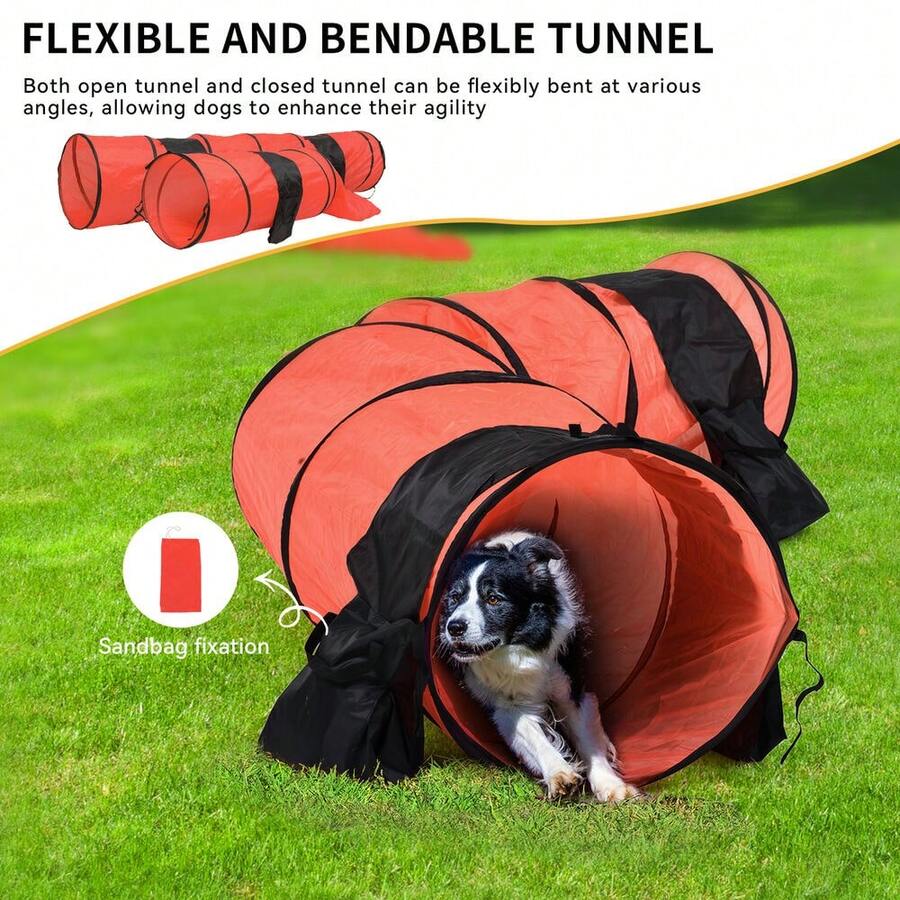 Dog Agility Training Equipment Set Pet Outdoor Obstacle Courses Starter