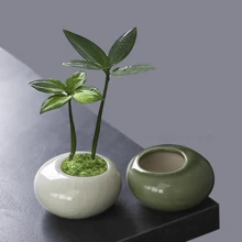 1 pezzo Piccolo vaso da fiori piatto e rotondo con finitura screpolata, vaso in ceramica verde per piante, bambù, cipresso, utensili per fiori d'hotel, creativo con fori, regalo per compleanni, lauree, decorazione da giardino, per esterni, vaso da fiori, decorazione per la casa, vaso per fiori, vaso in vetro - Multicolore - Visualizzare 2