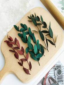 15 pièces Feuilles d'eucalyptus séchées, fleurs pour cadres photo DIY, décalcomanies, bougies d'aromathérapie, arrangements floraux, enveloppes, cartes de vœux, décoration de la maison, Noël, Thanksgiving, cadeaux pour amis et famille