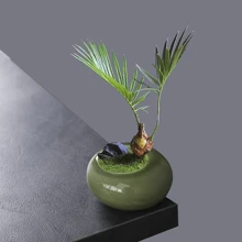 1 pezzo Piccolo vaso da fiori piatto e rotondo con finitura screpolata, vaso in ceramica verde per piante, bambù, cipresso, utensili per fiori d'hotel, creativo con fori, regalo per compleanni, lauree, decorazione da giardino, per esterni, vaso da fiori, decorazione per la casa, vaso per fiori, vaso in vetro - Multicolore - Visualizzare 4