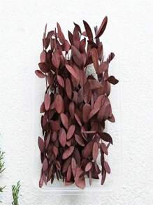 15 pièces Feuilles d'eucalyptus séchées, fleurs pour cadres photo DIY, décalcomanies, bougies d'aromathérapie, arrangements floraux, enveloppes, cartes de vœux, décoration de la maison, Noël, Thanksgiving, cadeaux pour amis et famille