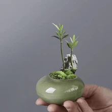 1 pezzo Piccolo vaso da fiori piatto e rotondo con finitura screpolata, vaso in ceramica verde per piante, bambù, cipresso, utensili per fiori d'hotel, creativo con fori, regalo per compleanni, lauree, decorazione da giardino, per esterni, vaso da fiori, decorazione per la casa, vaso per fiori, vaso in vetro - Multicolore - Visualizzare 5