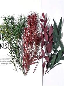 15 pièces Feuilles d'eucalyptus séchées, fleurs pour cadres photo DIY, décalcomanies, bougies d'aromathérapie, arrangements floraux, enveloppes, cartes de vœux, décoration de la maison, Noël, Thanksgiving, cadeaux pour amis et famille