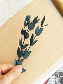 15 pièces Feuilles d'eucalyptus séchées, fleurs pour cadres photo DIY, décalcomanies, bougies d'aromathérapie, arrangements floraux, enveloppes, cartes de vœux, décoration de la maison, Noël, Thanksgiving, cadeaux pour amis et famille