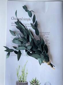 15 pièces Feuilles d'eucalyptus séchées, fleurs pour cadres photo DIY, décalcomanies, bougies d'aromathérapie, arrangements floraux, enveloppes, cartes de vœux, décoration de la maison, Noël, Thanksgiving, cadeaux pour amis et famille