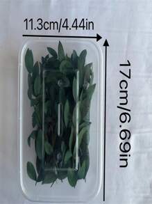 15 pièces Feuilles d'eucalyptus séchées, fleurs pour cadres photo DIY, décalcomanies, bougies d'aromathérapie, arrangements floraux, enveloppes, cartes de vœux, décoration de la maison, Noël, Thanksgiving, cadeaux pour amis et famille