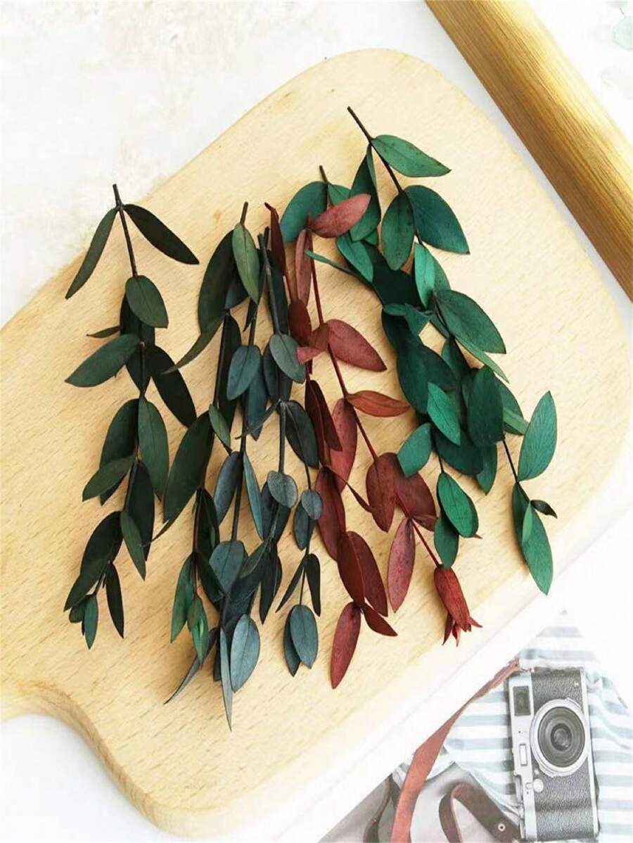 15 pièces Feuilles d'eucalyptus séchées, fleurs pour cadres photo DIY, décalcomanies, bougies d'aromathérapie, arrangements floraux, enveloppes, cartes de vœux, décoration de la maison, Noël, Thanksgiving, cadeaux pour amis et famille