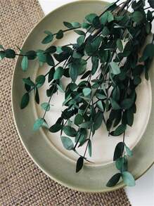 15 pièces Feuilles d'eucalyptus séchées, fleurs pour cadres photo DIY, décalcomanies, bougies d'aromathérapie, arrangements floraux, enveloppes, cartes de vœux, décoration de la maison, Noël, Thanksgiving, cadeaux pour amis et famille