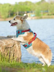 Adjustable Vintage Pet Chest Harness - Multicolor - View 12