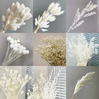 1/2 束白色永生花，适用于婚礼花束、家居装饰、DIY 花艺布置、花瓶装饰、桌面摆饰