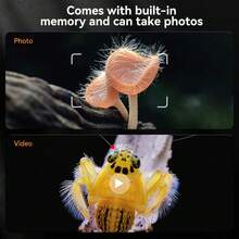 inskam Microscopio digital profesional con pantalla LCD IPS de alta definición de 4.3 pulgadas, zoom óptico de 50X a 1000X, cámara de microscopio visual con pantalla de alta resolución para inspección de tarjetas de circuito, relojes y joyas - Negro - Ver 5