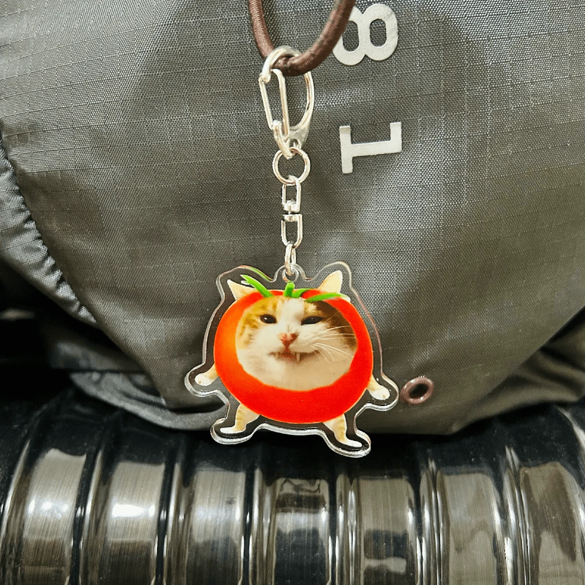 Tomato Cat Cute Acrylic Keychain SHEIN South Africa
