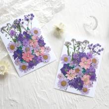 35pcs Dried Pressed Flowers For Resin Molds, Real Pressed Flowers Dry Leaves Kit For Art Crafts Resin Jewelry Making Scrapbook Supplies Card Making Soap Candle DIY Nails Decor| Valentine Day's Gift| Couple Gift| Christmas Gift Xmas Gift| Halloween Gift Decor