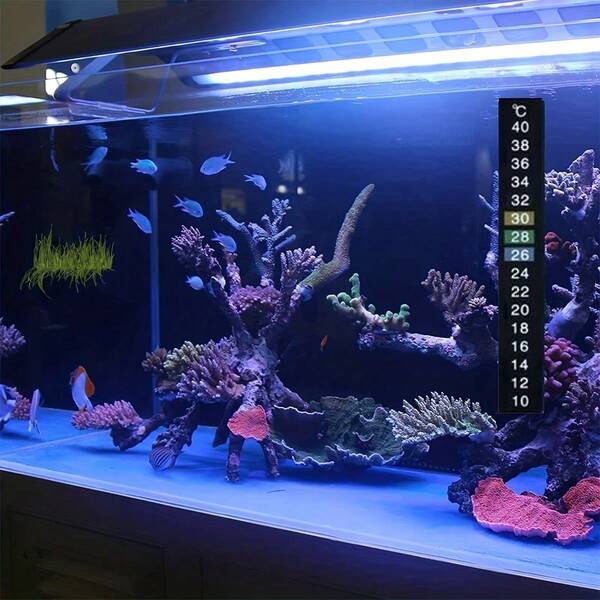 1/3/6pcs 10-40 Degree Digital Color Changing Fish Tank Thermometer Stickers, Used For Temperature Monitoring Of Wine, Beer, Home Brewing, And Aquarium Fish Tanks (Can Be Attached By Tearing Off The Backing Adhesive)