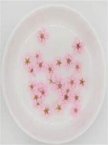 20pcs Small Daffodil Pressed Handmade DIY Photo Frame, Aromatherapy Candle Stickers, Painting Resin Crafts, Beauty Makeup Nail Art Supplies, Christmas Thanksgiving Gifts