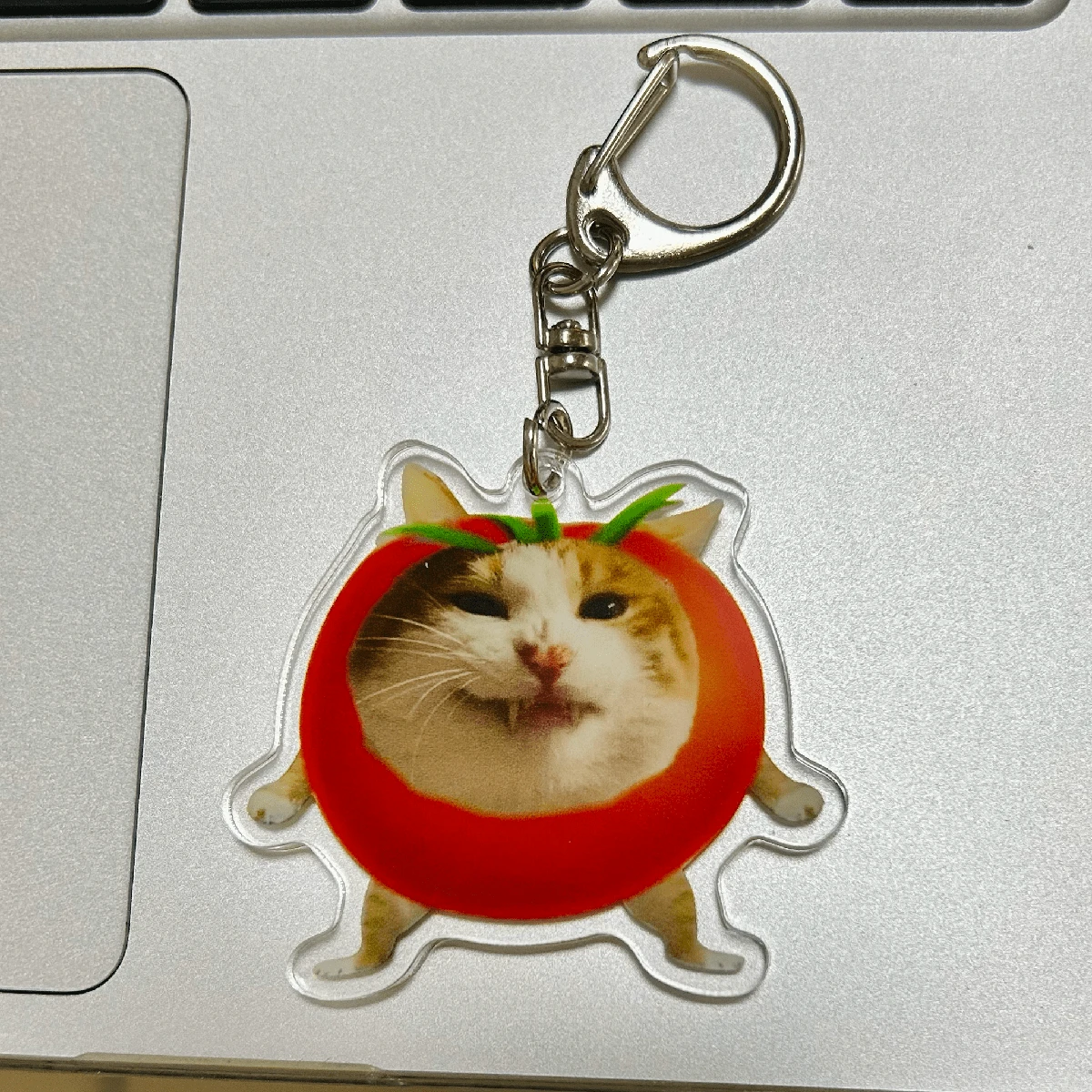Tomato Cat Cute Acrylic Keychain SHEIN South Africa