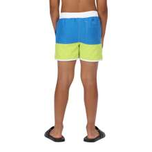 Regatta Childrens/Kids Sergio Swim Shorts (Imperial Blue/Bright Kiwi)