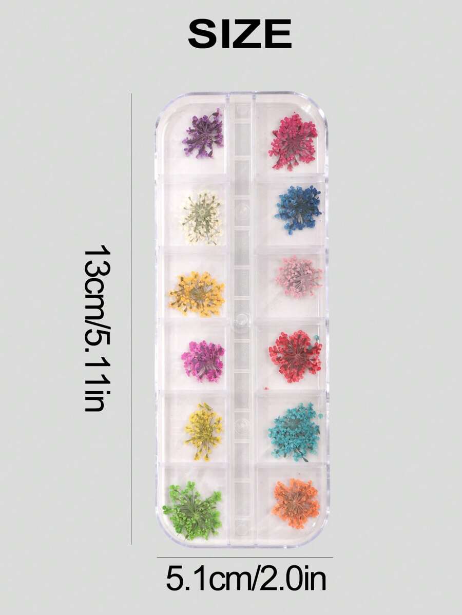 12 Colors Natural Dry Blooming Flowers Vibrant DIY Nail Decorations