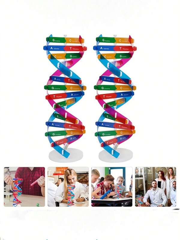 Kit de modelo de hélice de ADN humano DIY - Herramienta de experimento científico biológico, sin electricidad