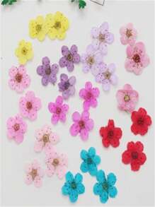 20pcs Small Daffodil Pressed Handmade DIY Photo Frame, Aromatherapy Candle Stickers, Painting Resin Crafts, Beauty Makeup Nail Art Supplies, Christmas Thanksgiving Gifts