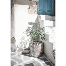 1 pieza Pintura en lienzo minimalista escandinava con el árbol de olivo italiano, las ramas y las hojas, la arquitectura, sin marco, para decoración del hogar