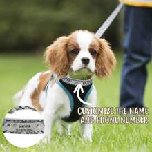 1 chiếc Vòng cổ cho chó cưng bằng vải PU kẻ sọc sequin tùy chỉnh có họa tiết thú vị, bảng tên khắc, số điện thoại, kích thước có thể điều chỉnh, phù hợp với chó nhỏ và vừa, mèo để tránh mất mát - Bạc - Xem 2