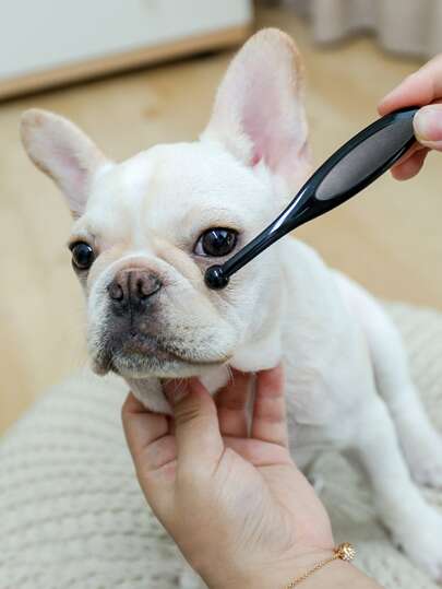 Escova de Limpeza de Olhos para Animais de Estimação, Removedor de Manchas de Lágrimas de Cachorro, Escova de Excrementos dos Olhos de Cachorro para Limpeza de Animais de Estimação