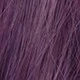Violetti