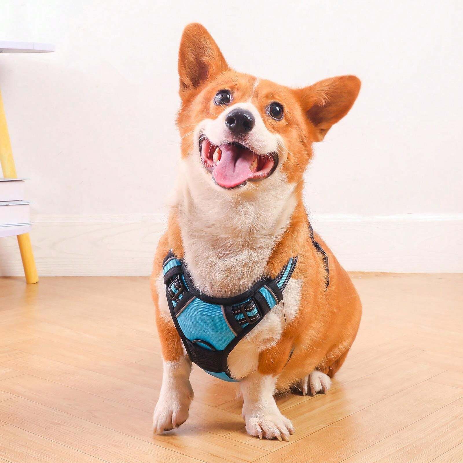 Reflective Dog Harness Durable, Easy To Put On, NonRestrictive Chest
