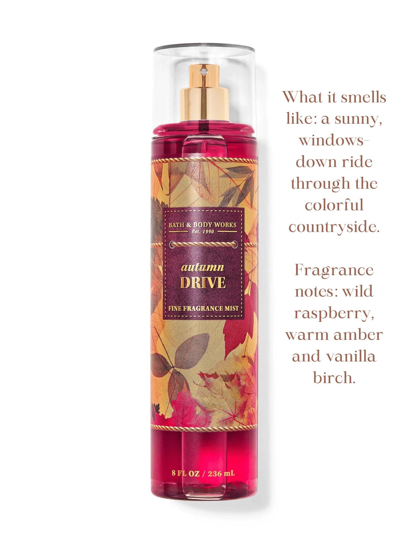 Bath & Body Works Bath & Body Works Bath And Body Works BBW Fine