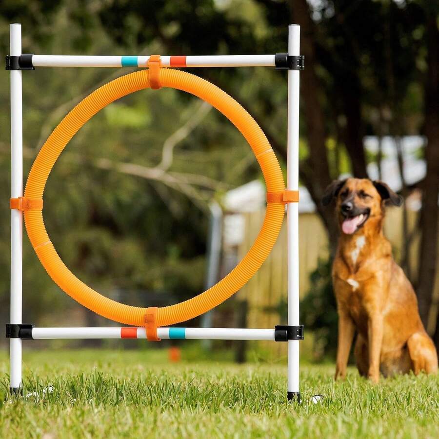 Dog Agility Hoop Jump SHEIN UK