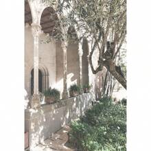1 pieza Pintura en lienzo minimalista escandinava con el árbol de olivo italiano, las ramas y las hojas, la arquitectura, sin marco, para decoración del hogar