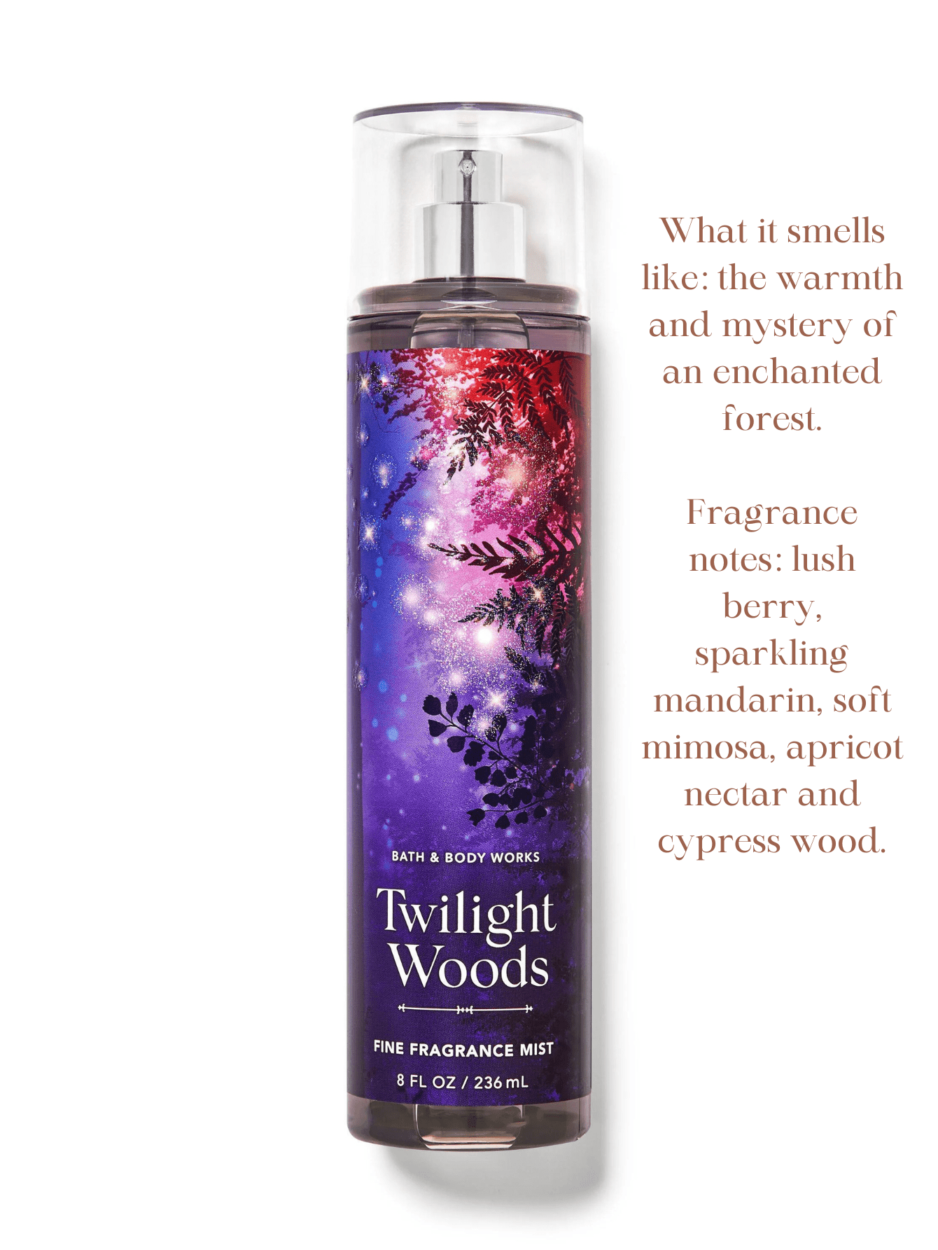 Bath & Body Works Bath & Body Works Bath And Body Works BBW Fine