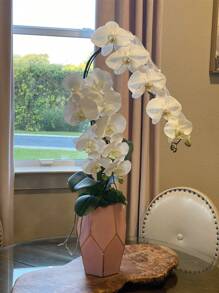 Sztuczne Kwiaty Orchidei, Głowy Real Touch Vivid Phalaenopsis Kwiat Łodygi Orchidei, Klasyczny Styl Sztucznych Girland Orchidei, Dekoracyjne Jedwabne Kwiaty Phalaenopsis, Sztuczne Gałęzie Kwiatów Do Dekoracji Domu W Salonie, Hotelowe Weselne Kompozycje Kwiatowe, Piękny Wystrój Domu Na Halloween, Boże Narodzenie, Chiński Nowy Rok, Wspaniałe Prezenty Dla Dziewczyny I Matki Na Walentynki I Dzień Matki