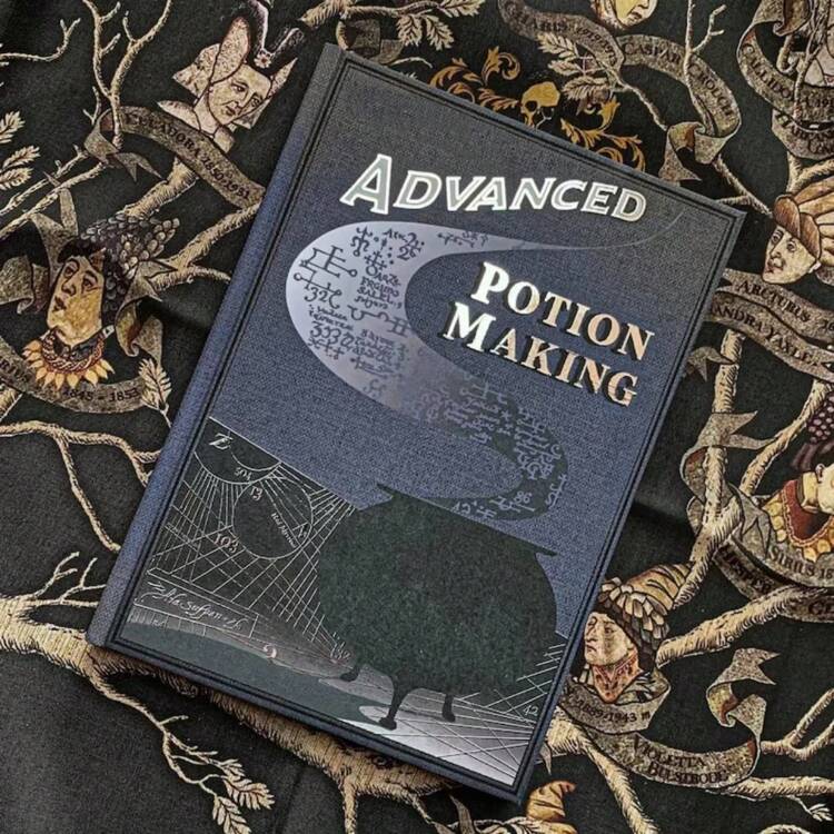 ハリーポッター　賢者の石　上級魔法薬ノートふさん専用 ハリーポッター 賢者の石 上級魔法薬ノートふさん専用 上級魔法