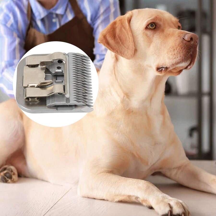 Dog Clipper Cutting Blade Size 7F 3.2mm Carbonized Steel Detachable