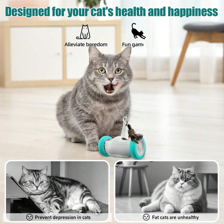 Cat Toys, Indoor Electric Feather Cat Chaser With Bells & Flashing