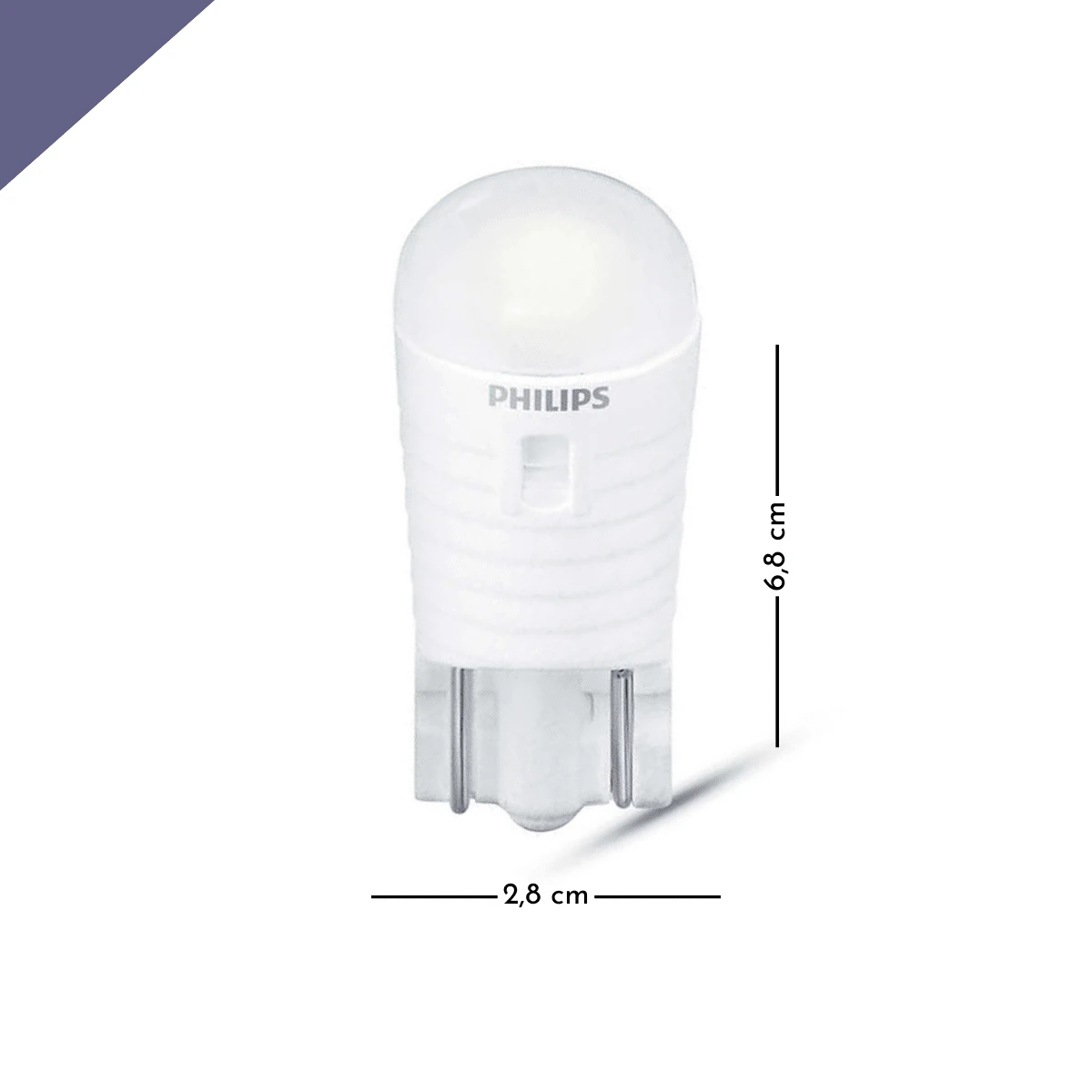 Interior & Convenience Bulbs SHEIN South Africa