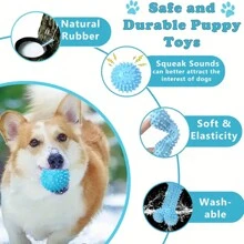 6pcs/12pcs Pack Dog Chew Toys Set, Pet Dental Toys, Rubber Teeth Cleaning Toys, Interactive & Anxiety Relief Pet Activity Accessories, Suitable For Medium/Small Cats & Dogs