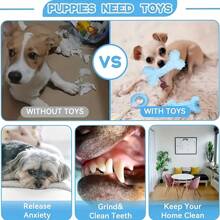 6pcs/12pcs Pack Dog Chew Toys Set, Pet Dental Toys, Rubber Teeth Cleaning Toys, Interactive & Anxiety Relief Pet Activity Accessories, Suitable For Medium/Small Cats & Dogs
