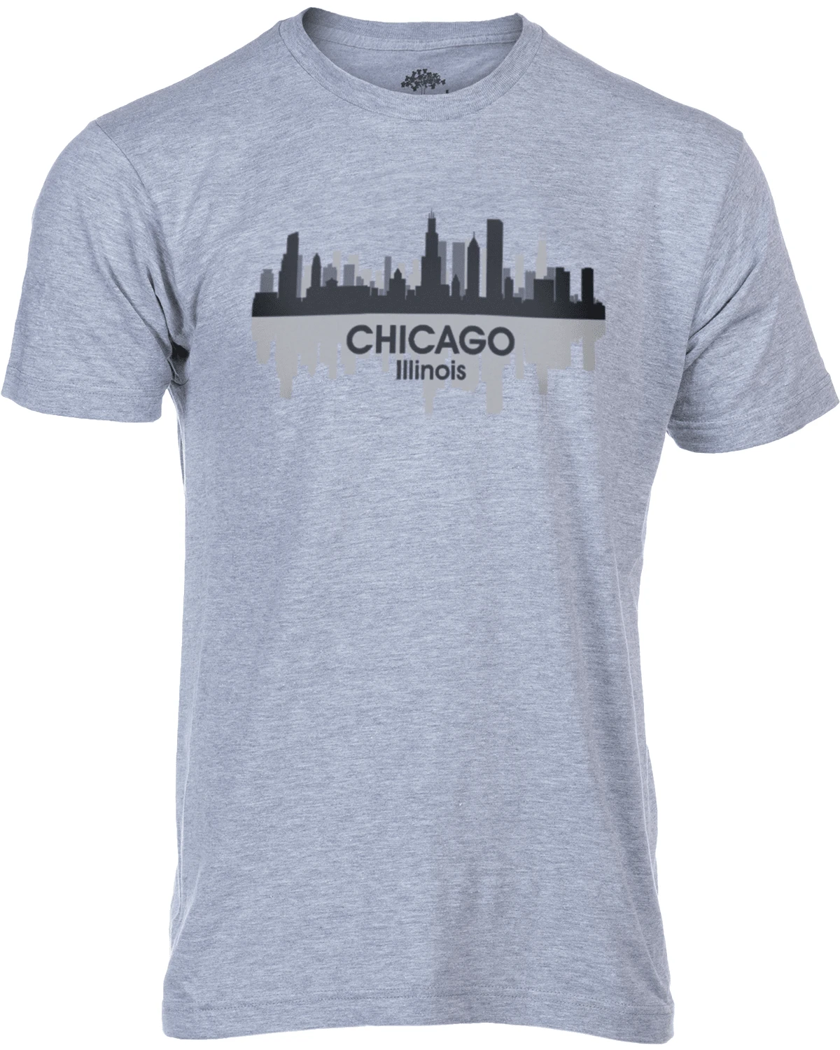 Ann Arbor TShirt Company Chicago, Illinois City Skyline Windy City