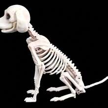 Skeleton Sitting Dog - Adjustable Halloween Decoration With Ghost House Trick Simulation, Realistic Animal Skeleton For Spooky Atmosphere - Multicolor - View 5
