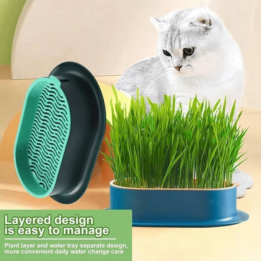 Pet Cat Sprout Dish Growing Pot Hydroponic Plant Cat Grass Germination