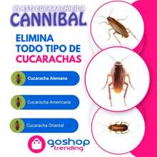 2 cajas de Veneno Mata Cucaracha Cannibal en Caja de 80grs NO TÓXICO. La Solución Definitiva, ecológica, Pet Friendly y No Tóxica para Exterminar Plagas de cucarachas. - Camel - Ver 9