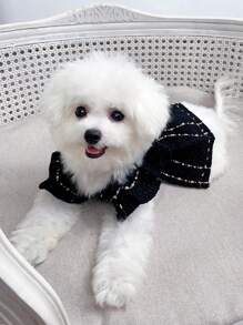 1 件带 3D 花卉装饰的宠物格子连衣裙 - 彩色 - 查看 4