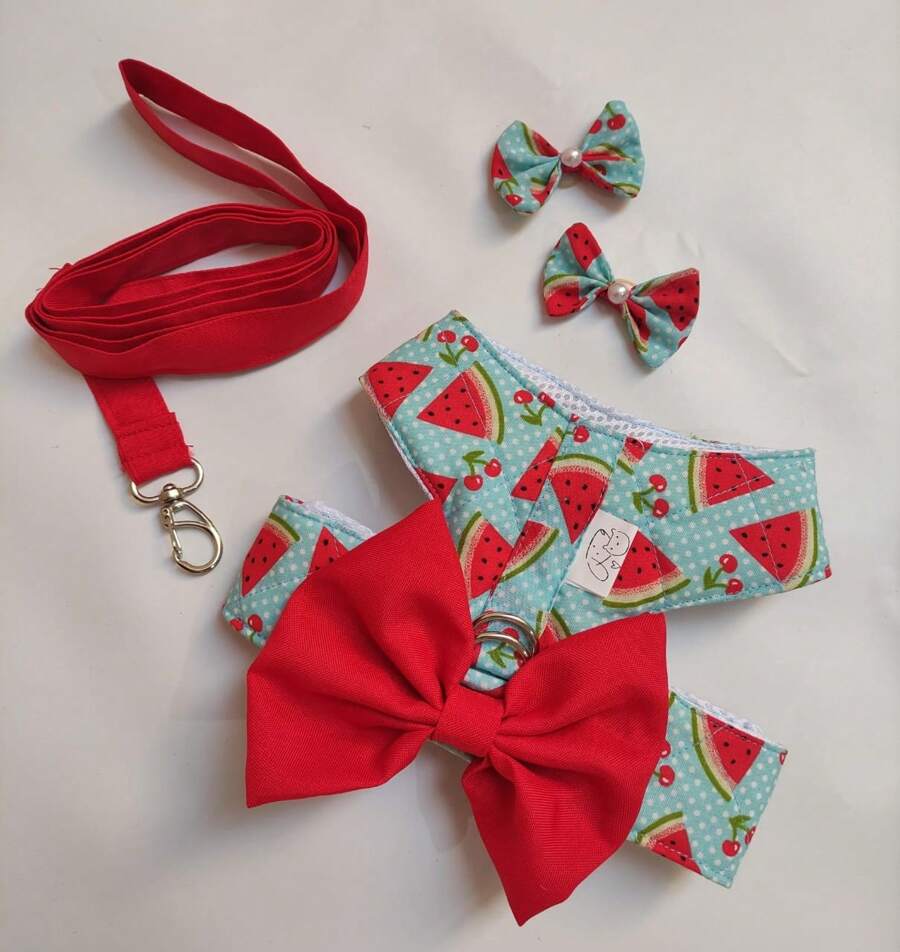 Maria Pet Harness + Leash + Pair Of Bows - 紅色 - 查看 1
