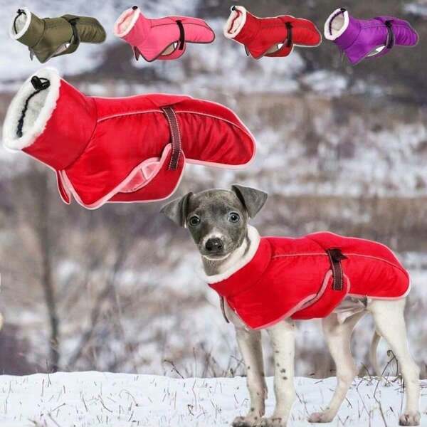 IISVGE Pet Jacket Dog Coat, Thick And Warm Fleece Dog Padded Coat-Waterproof Dog Coats For Medium Dogs-Dog Cold Weather Coats With Leash Hole Vest,For Teddy, Corgi And Small Medium Pets, Autumn And Winter,Christmas Gift